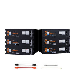 51.2V 100Ah Smart Lithium Iron Phosphate Battery