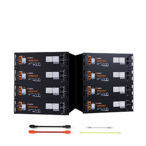 51.2V 100Ah Smart Lithium Iron Phosphate Battery